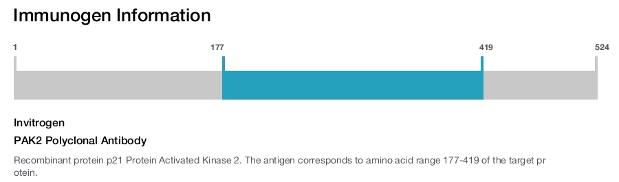 PAK2 Polyclonal Antibody