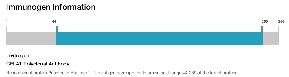 CELA1 Polyclonal Antibody