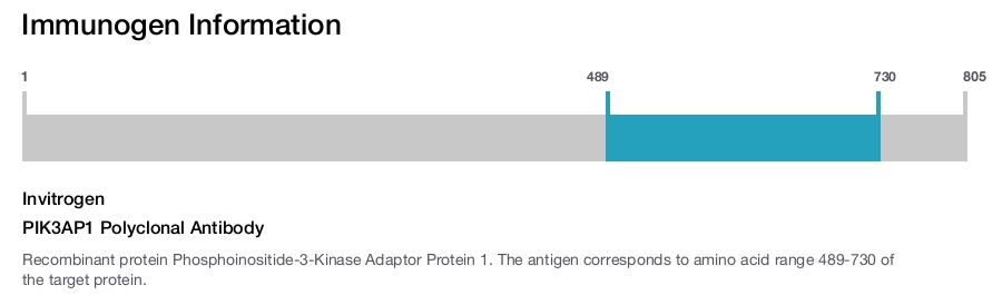 PIK3AP1 Polyclonal Antibody