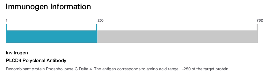 PLCD4 Polyclonal Antibody