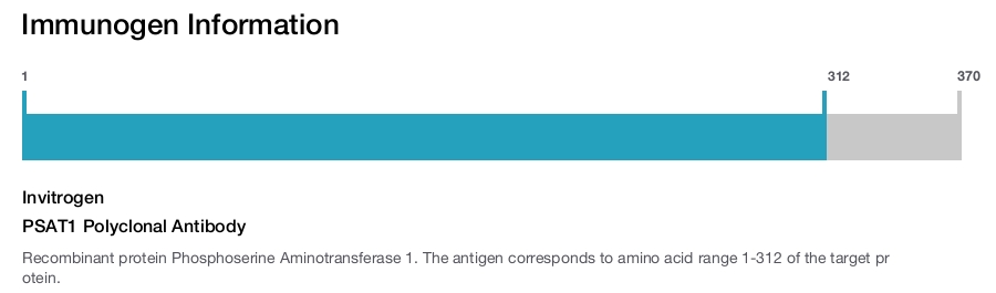 PSAT1 Polyclonal Antibody