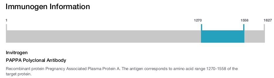 PAPPA Polyclonal Antibody