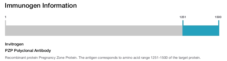PZP Polyclonal Antibody
