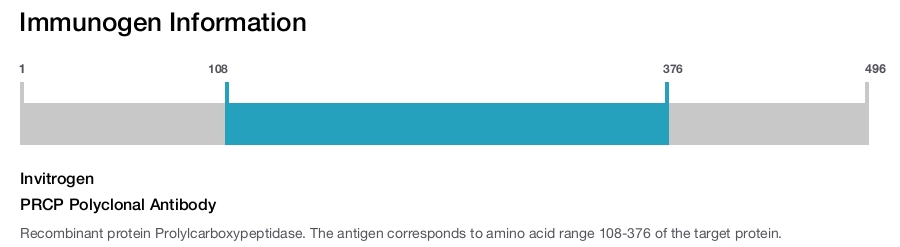 PRCP Polyclonal Antibody