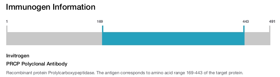 PRCP Polyclonal Antibody