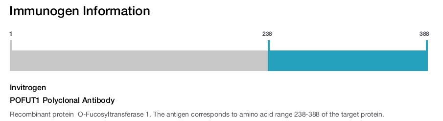 POFUT1 Polyclonal Antibody