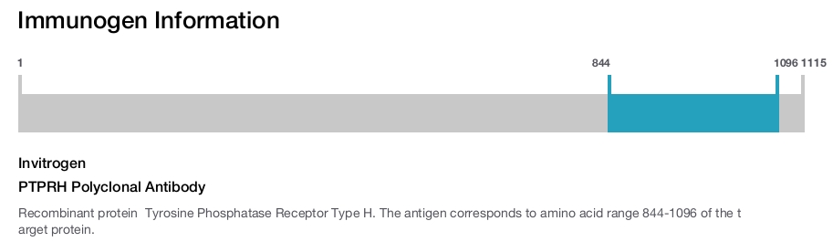 PTPRH Polyclonal Antibody