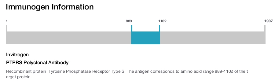 PTPRS Polyclonal Antibody