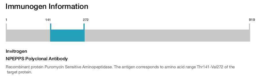 NPEPPS Polyclonal Antibody
