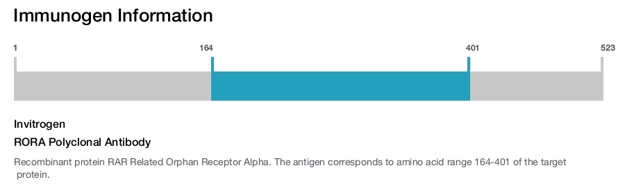 RORA Polyclonal Antibody