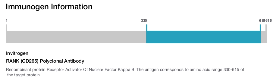 RANK (CD265) Polyclonal Antibody