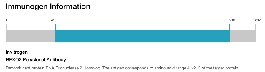 REXO2 Polyclonal Antibody