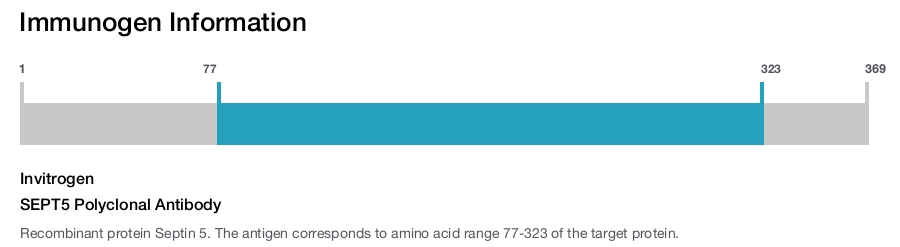 SEPT5 Polyclonal Antibody