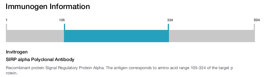 SIRP alpha Polyclonal Antibody