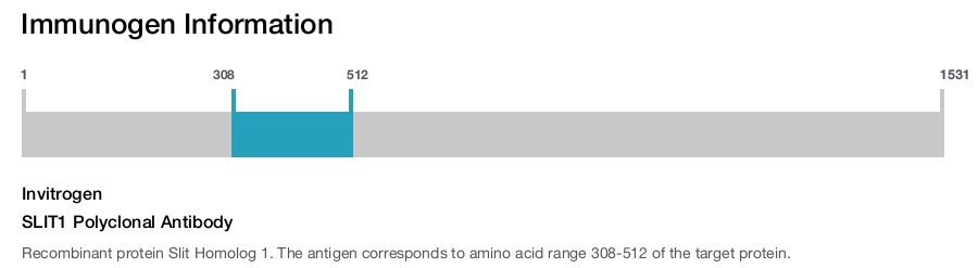 SLIT1 Polyclonal Antibody