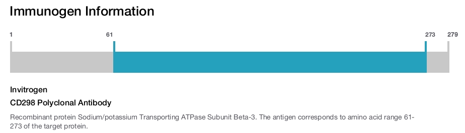 CD298 Polyclonal Antibody