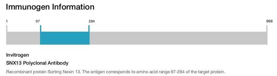 SNX13 Polyclonal Antibody