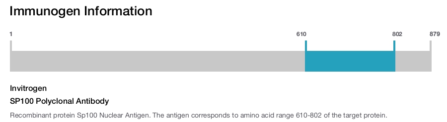 SP100 Polyclonal Antibody