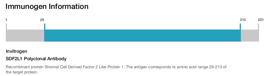 SDF2L1 Polyclonal Antibody