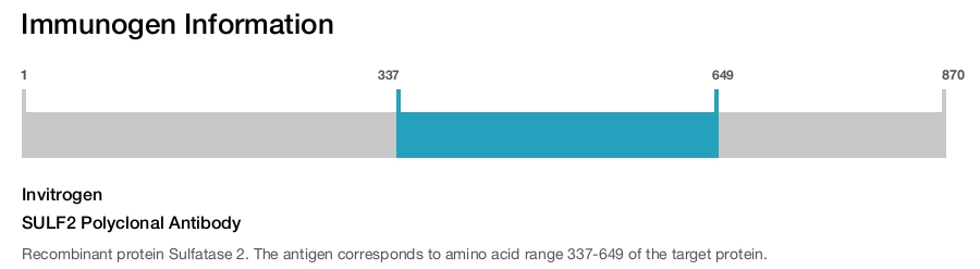 SULF2 Polyclonal Antibody