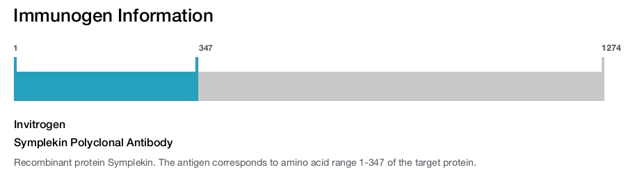 Symplekin Polyclonal Antibody