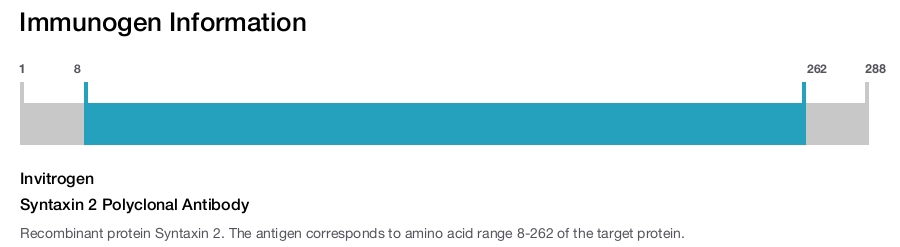 Syntaxin 2 Polyclonal Antibody