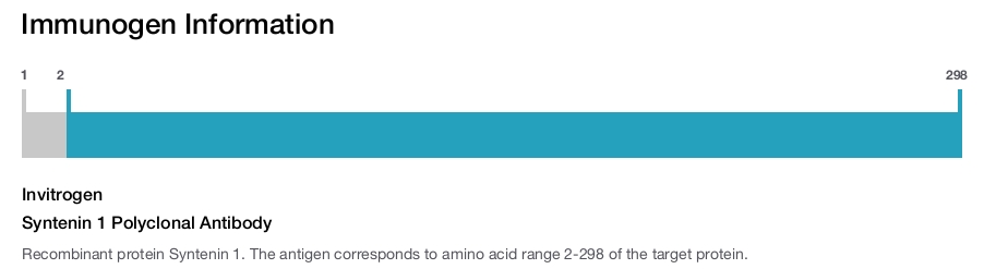 Syntenin 1 Polyclonal Antibody