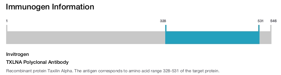 TXLNA Polyclonal Antibody