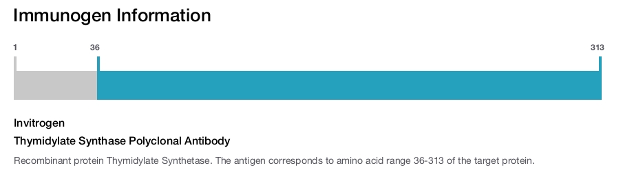 Thymidylate Synthase Polyclonal Antibody