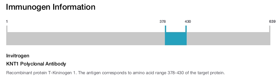 KNT1 Polyclonal Antibody