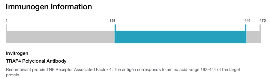 TRAF4 Polyclonal Antibody