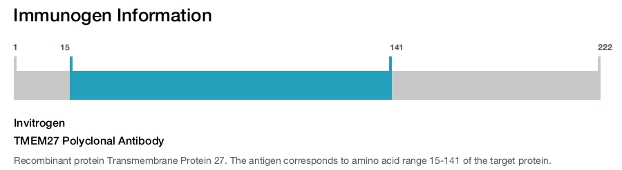 TMEM27 Polyclonal Antibody
