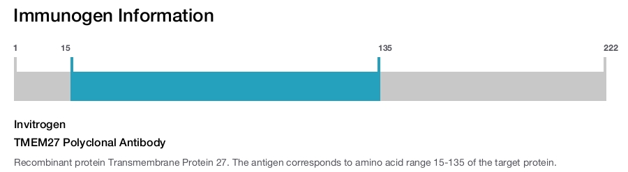 TMEM27 Polyclonal Antibody