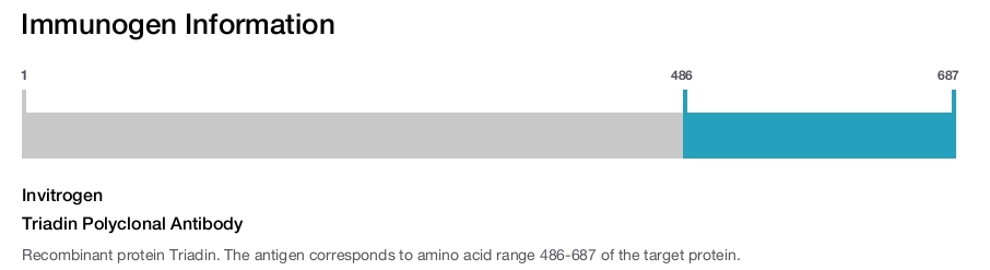 Triadin Polyclonal Antibody