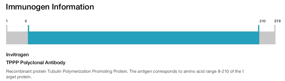 TPPP Polyclonal Antibody