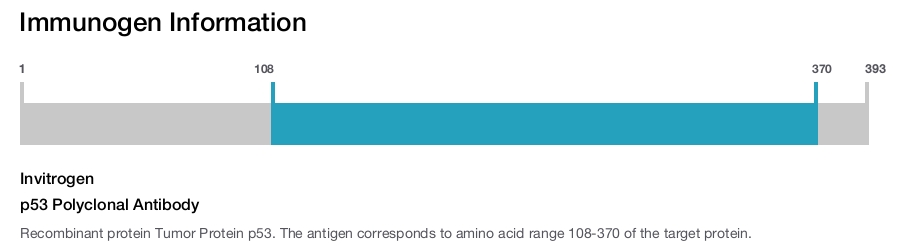 p53 Polyclonal Antibody