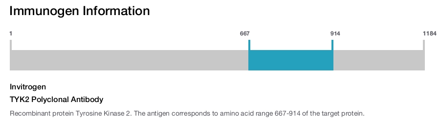 TYK2 Polyclonal Antibody