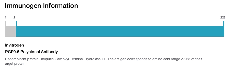 PGP9.5 Polyclonal Antibody