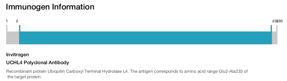UCHL4 Polyclonal Antibody