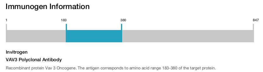 VAV3 Polyclonal Antibody