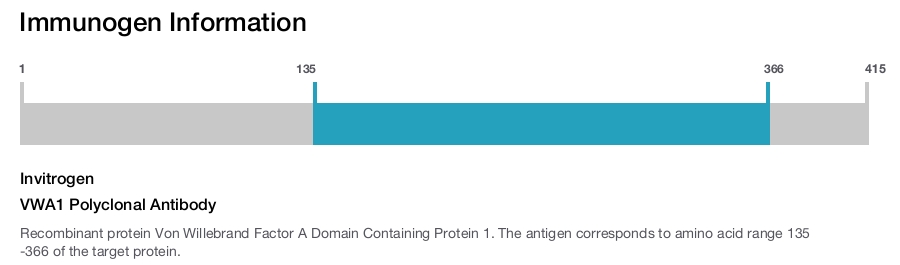 VWA1 Polyclonal Antibody