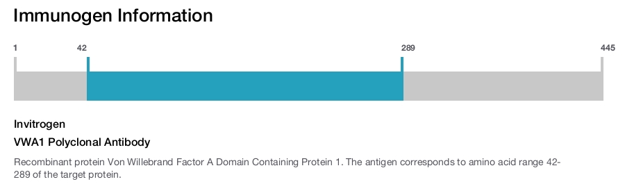 VWA1 Polyclonal Antibody