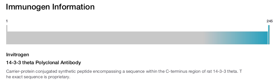 14-3-3 theta Polyclonal Antibody