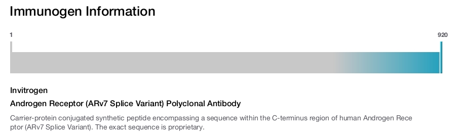 Androgen Receptor (ARv7 Splice Variant) Polyclonal Antibody