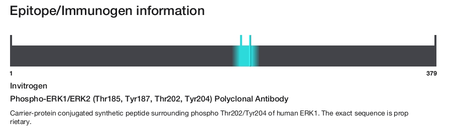 Phospho-ERK1/ERK2 (Thr185, Tyr187, Thr202, Tyr204) Polyclonal Antibody