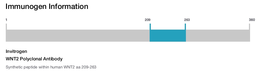 WNT2 Polyclonal Antibody