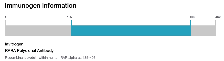 RARA Polyclonal Antibody