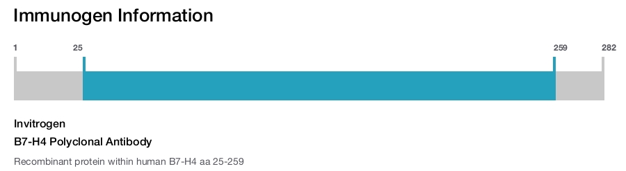 B7-H4 Polyclonal Antibody