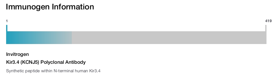 Kir3.4 (KCNJ5) Polyclonal Antibody