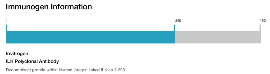 ILK Polyclonal Antibody